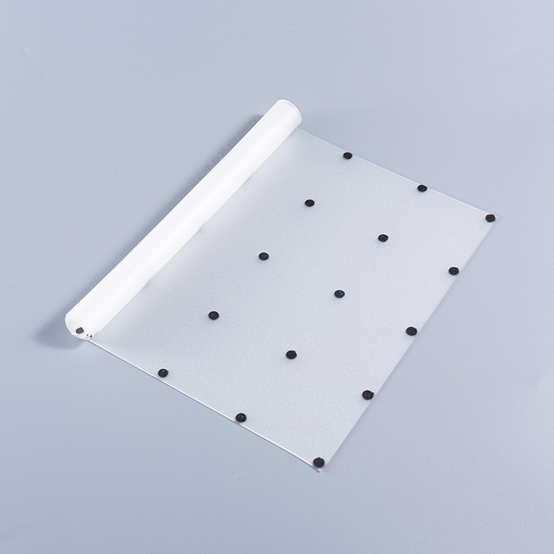 Filem PVB Safe Burung Bina